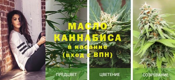 ГАЛЛЮЦИНОГЕННЫЕ ГРИБЫ Алексин