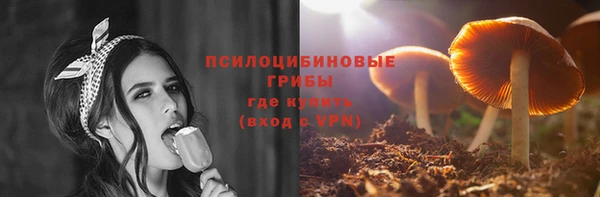 прущие грибы Алексеевка