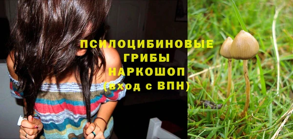 ГАЛЛЮЦИНОГЕННЫЕ ГРИБЫ Алексин