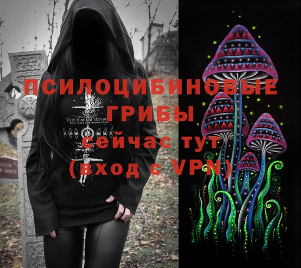 ГАЛЛЮЦИНОГЕННЫЕ ГРИБЫ Алексин