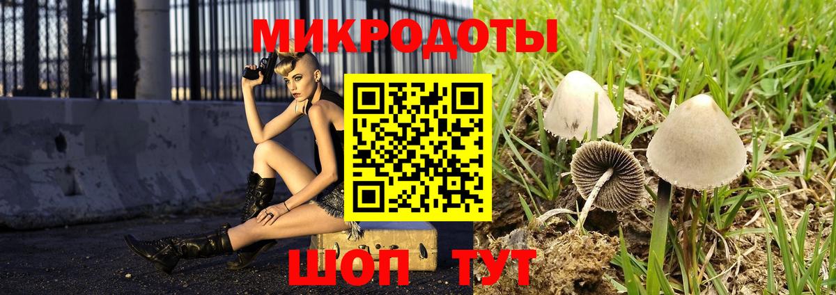 Минусинск  Галлюциногенные грибы мухоморы  Вход с VPN 